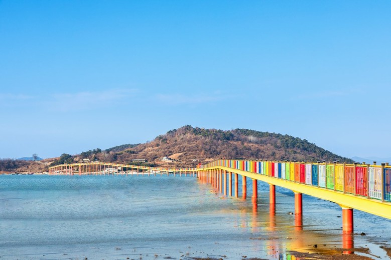 고흥군, 중앙아시아 고려인 청소년에게...